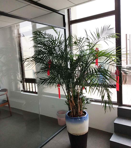 輝燁亞肯傳媒無錫辦公室裝修實拍圖